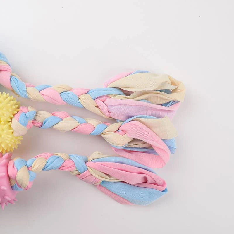 Pet Dog Toys – Chew & Play Pack