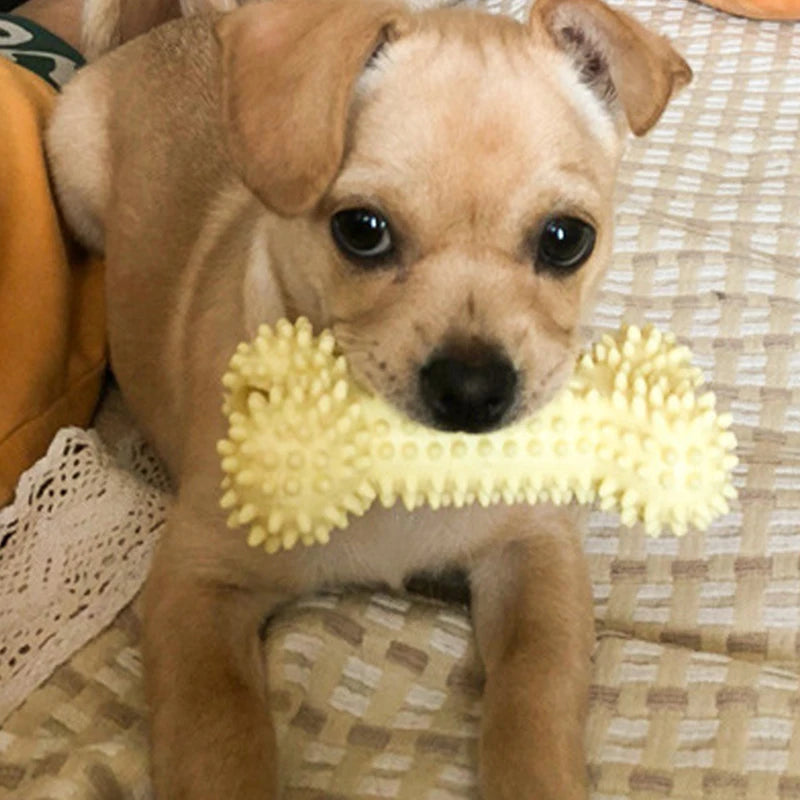 Pet Dog Toys – Chew & Play Pack