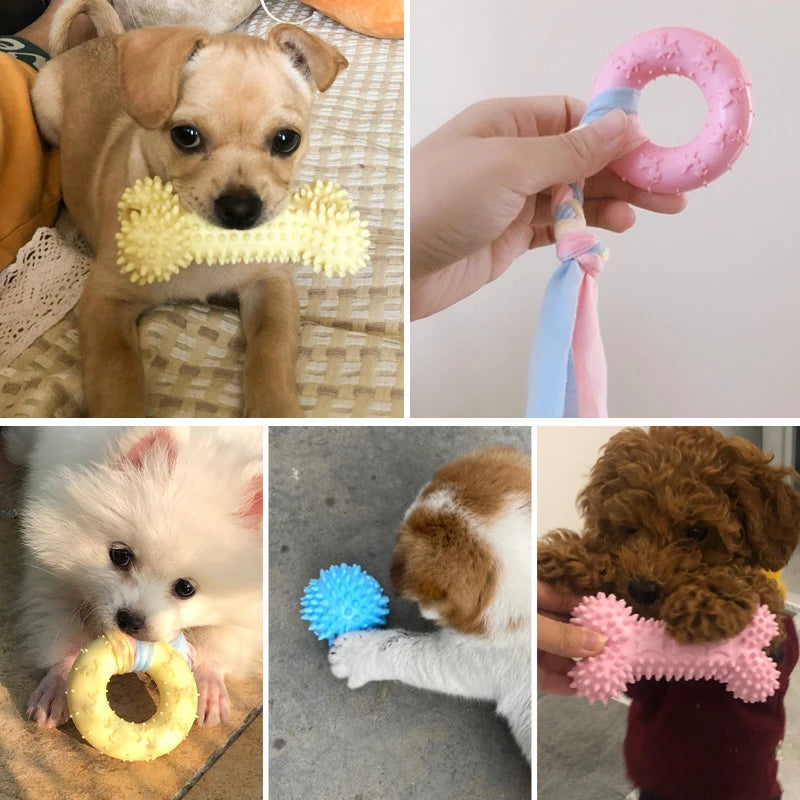 Pet Dog Toys – Chew & Play Pack