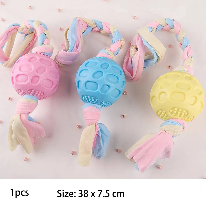 Pet Dog Toys – Chew & Play Pack