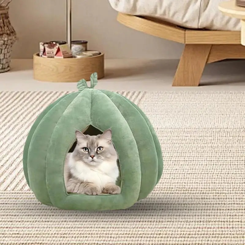 Pumpkin Cozy House – Enclosed Hideaway