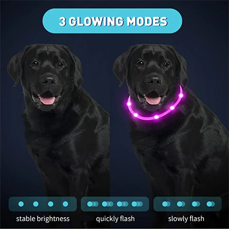 LED Light-Up Dog Collar - Keep Your Pet Safe & Visible at Night