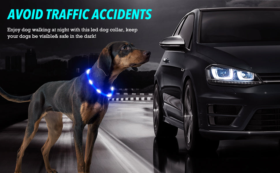 LED Light-Up Dog Collar - Keep Your Pet Safe & Visible at Night