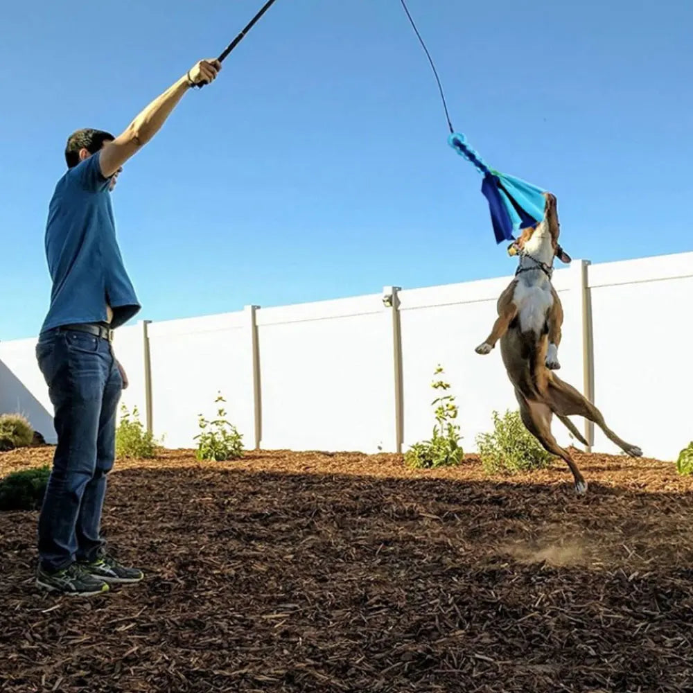 Dog Flirt Pole & Lure Stick Interactive Training Toy