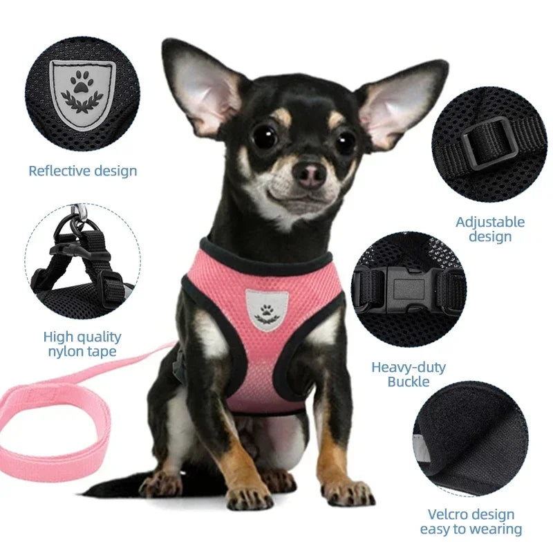 Cat Harness – Safe & Adjustable Walking Vest