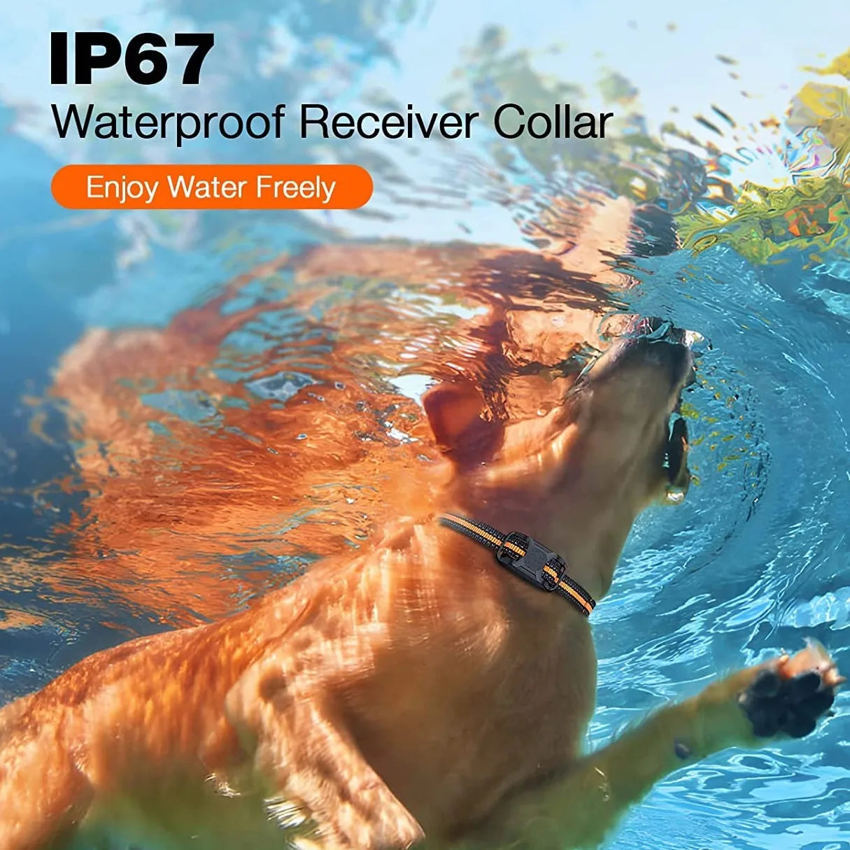 Smart Electric Dog Training Collar – Model RS2-1