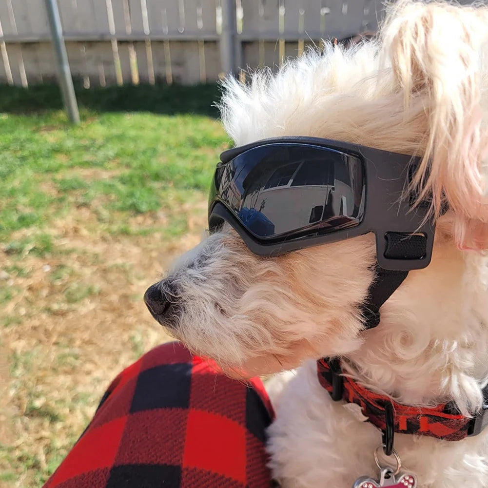 🕶️ Dog UV Protection Sunglasses – Adjustable Pet Goggles