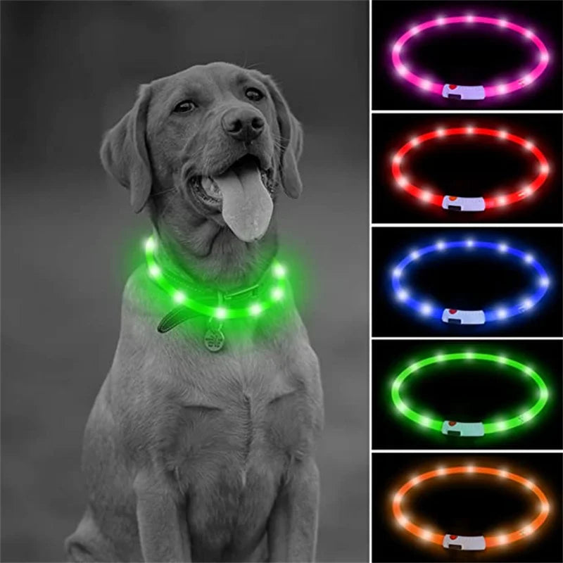 LED Light-Up Dog Collar - Keep Your Pet Safe & Visible at Night