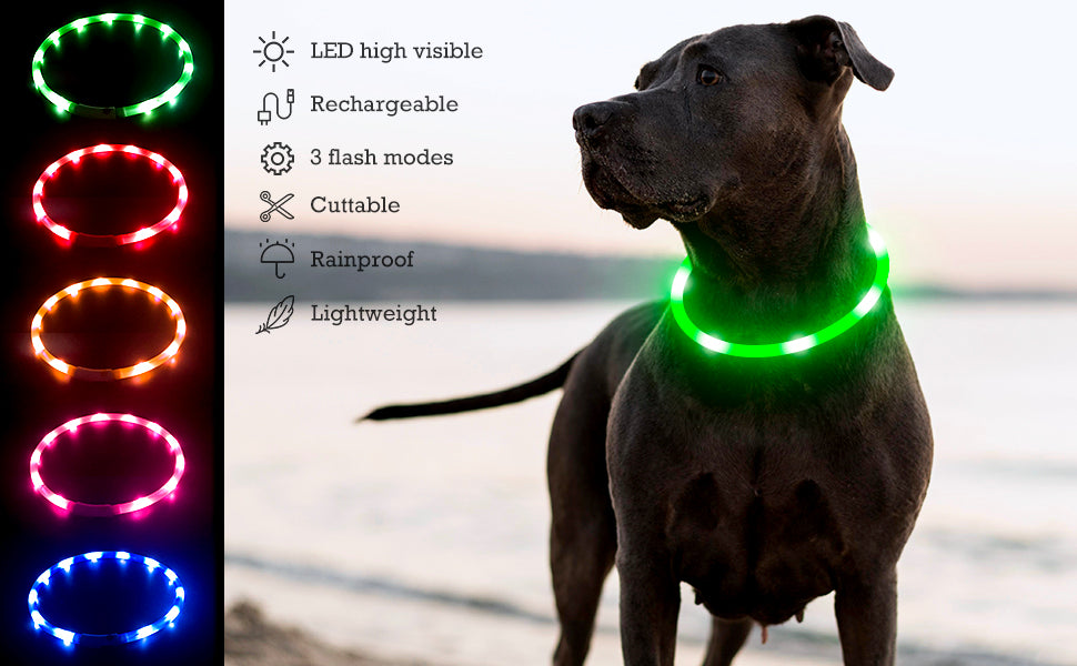 LED Light-Up Dog Collar - Keep Your Pet Safe & Visible at Night