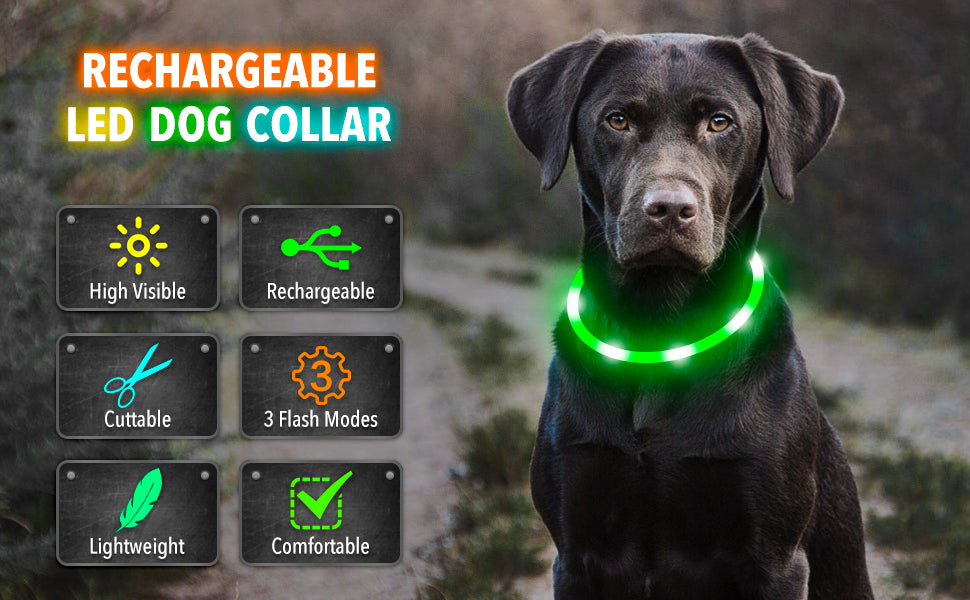 LED Light-Up Dog Collar - Keep Your Pet Safe & Visible at Night
