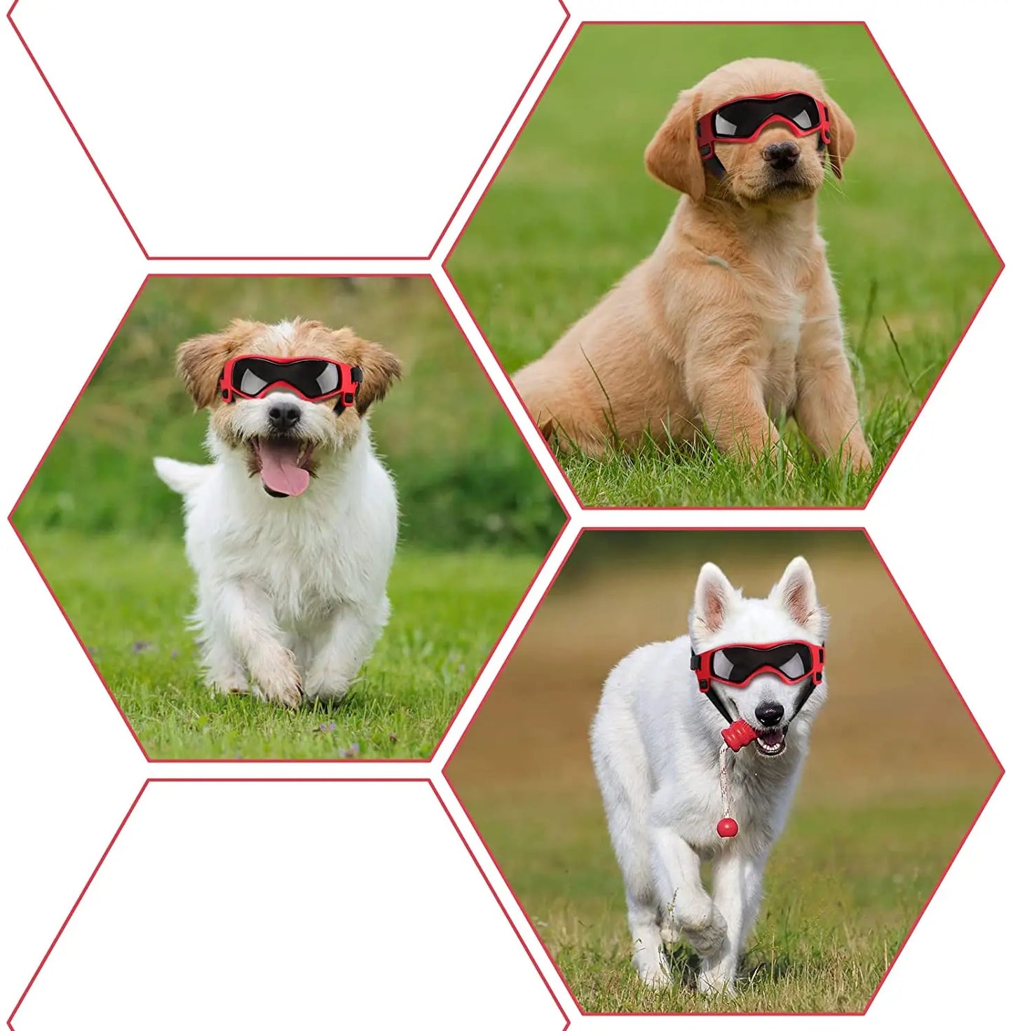 🕶️ Dog UV Protection Sunglasses – Adjustable Pet Goggles