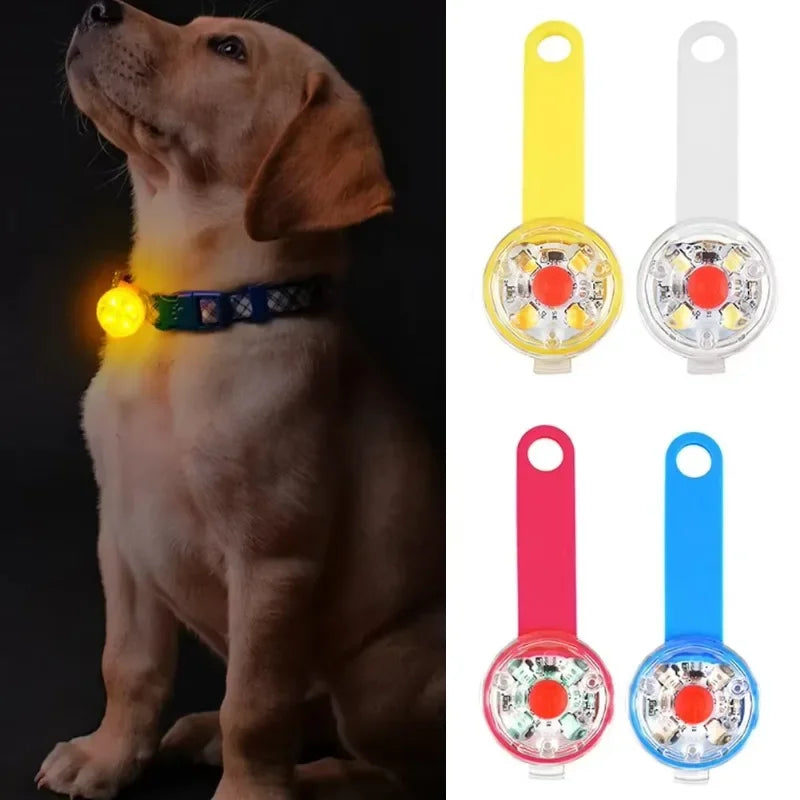 LED Safety Light for Collar