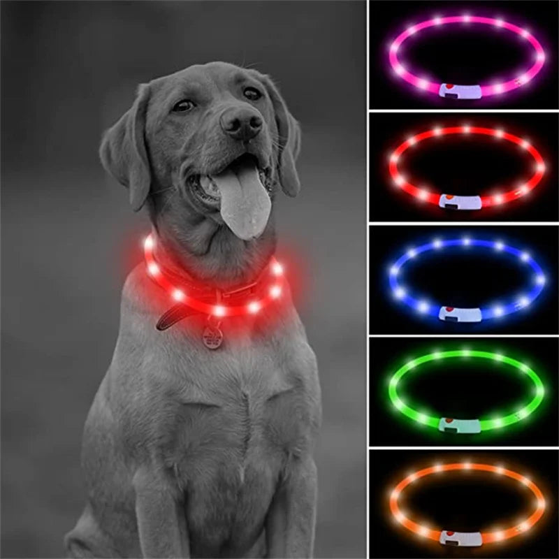 LED Light-Up Dog Collar - Keep Your Pet Safe & Visible at Night