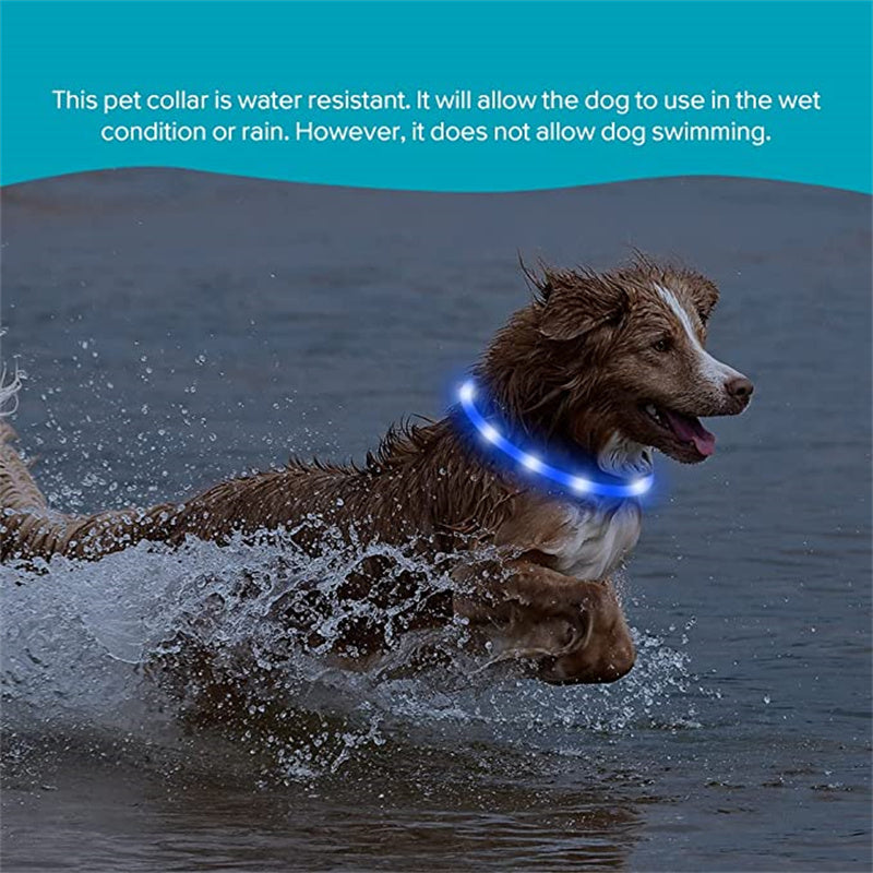 LED Light-Up Dog Collar - Keep Your Pet Safe & Visible at Night