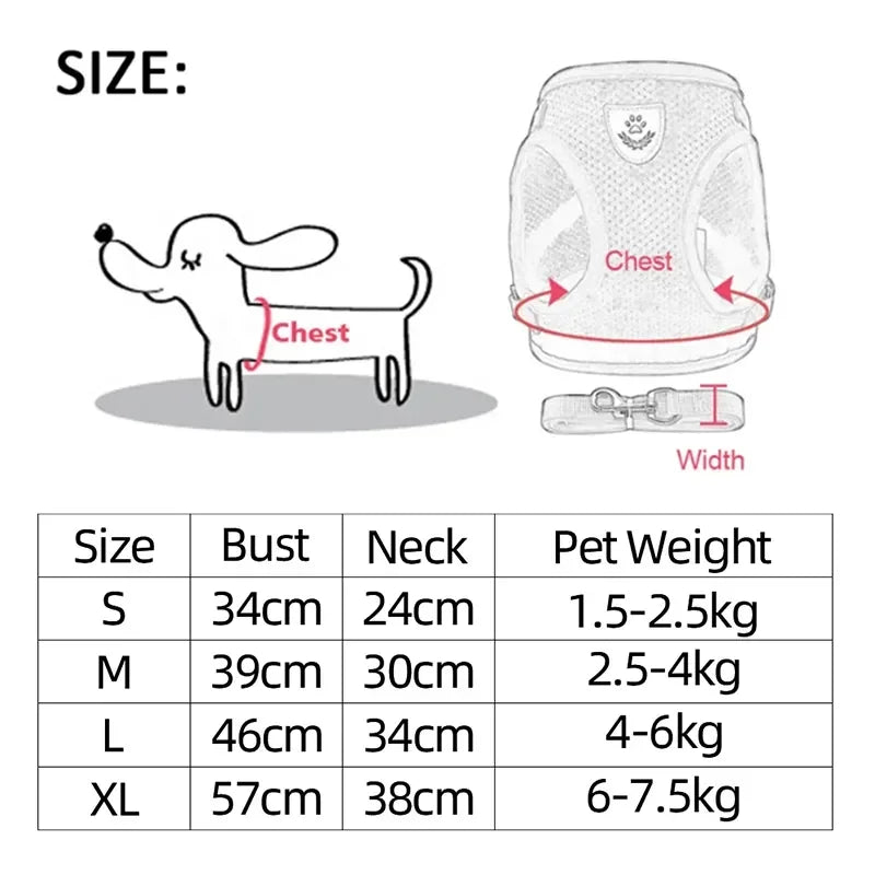 Cat Harness – Safe & Adjustable Walking Vest