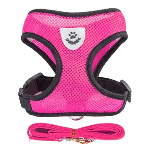 Cat Harness – Safe & Adjustable Walking Vest