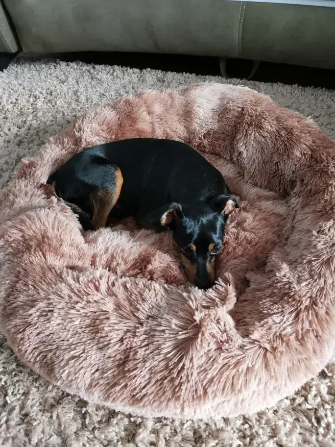 Classic Calming Donut Bed