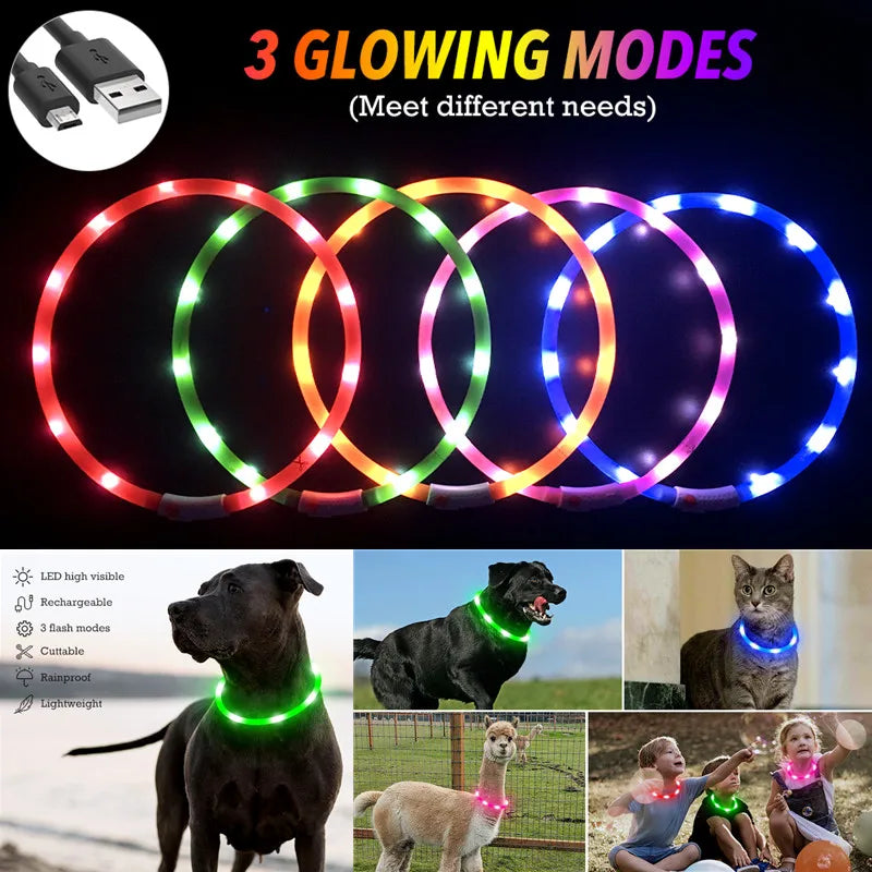 LED Light-Up Dog Collar - Keep Your Pet Safe & Visible at Night