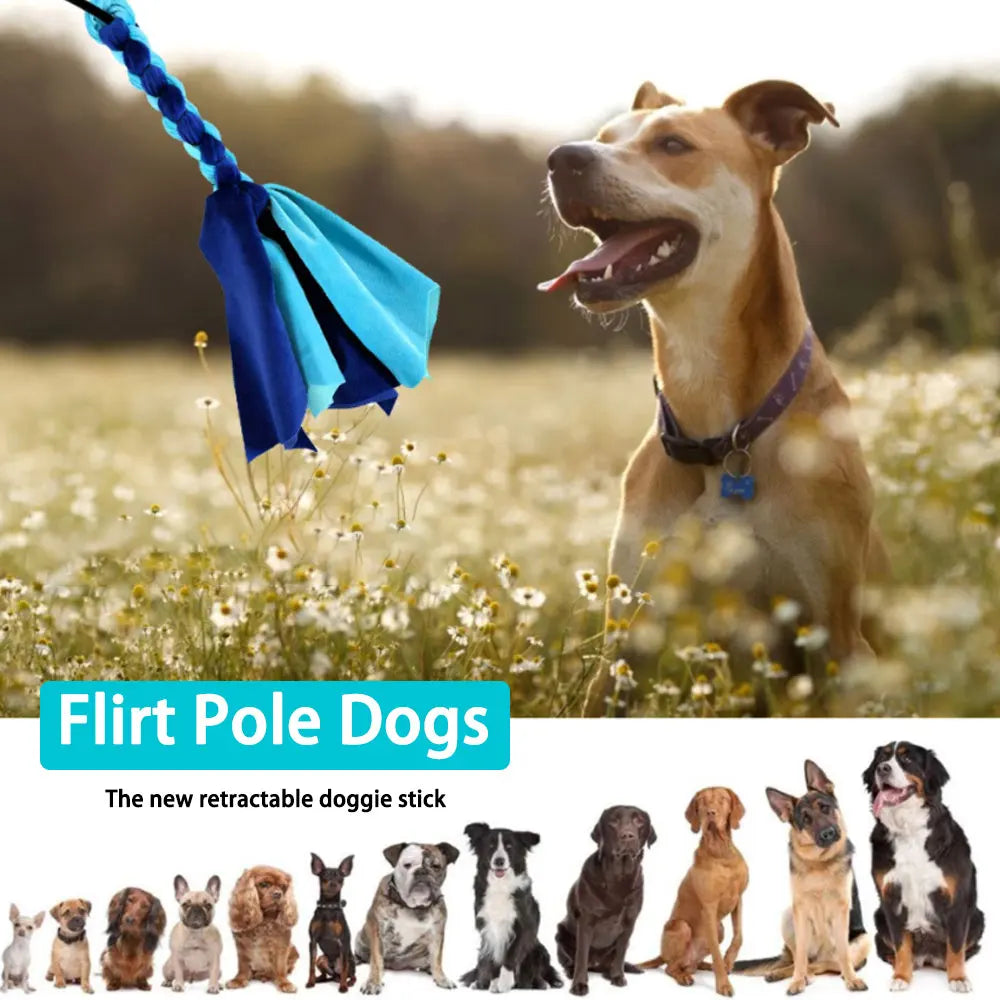 Dog Flirt Pole & Lure Stick Interactive Training Toy