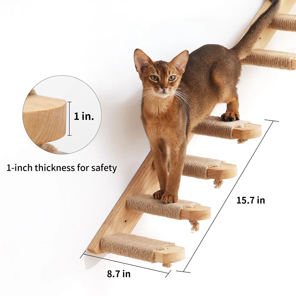 Wall-Mounted Cat Climbing Shelves & Tree
