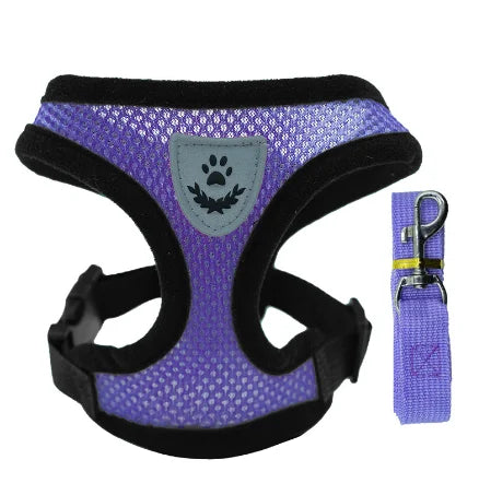 Cat Harness – Safe & Adjustable Walking Vest