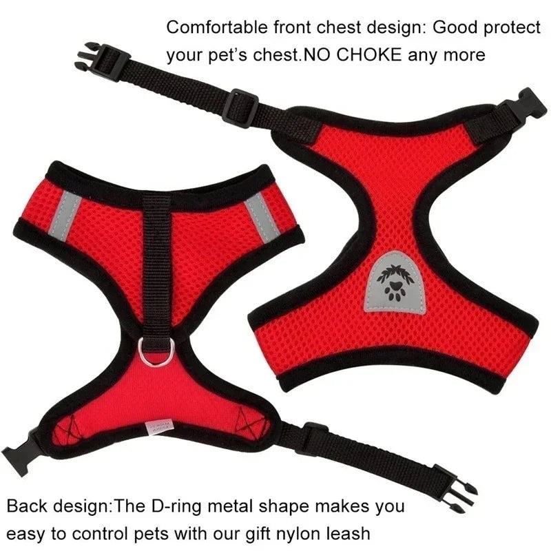 Cat Harness – Safe & Adjustable Walking Vest