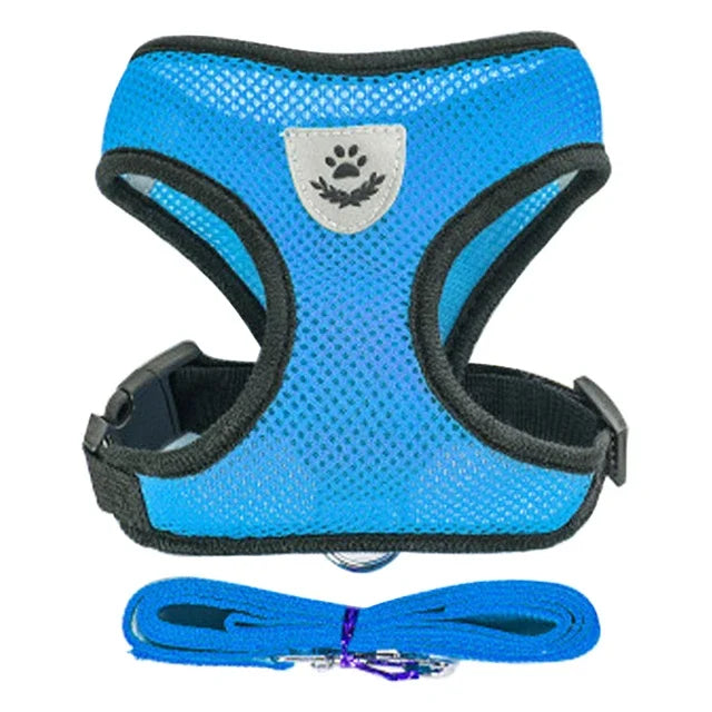 Cat Harness – Safe & Adjustable Walking Vest