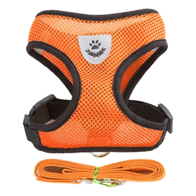 Cat Harness – Safe & Adjustable Walking Vest