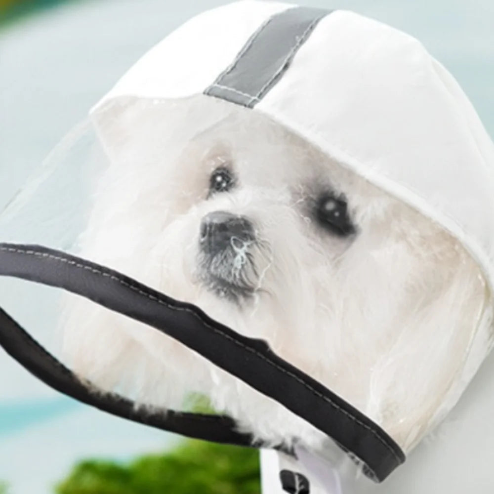 Cartoon Dog Raincoat – Waterproof & Reflective