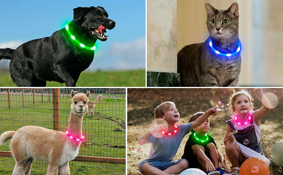 LED Light-Up Dog Collar - Keep Your Pet Safe & Visible at Night