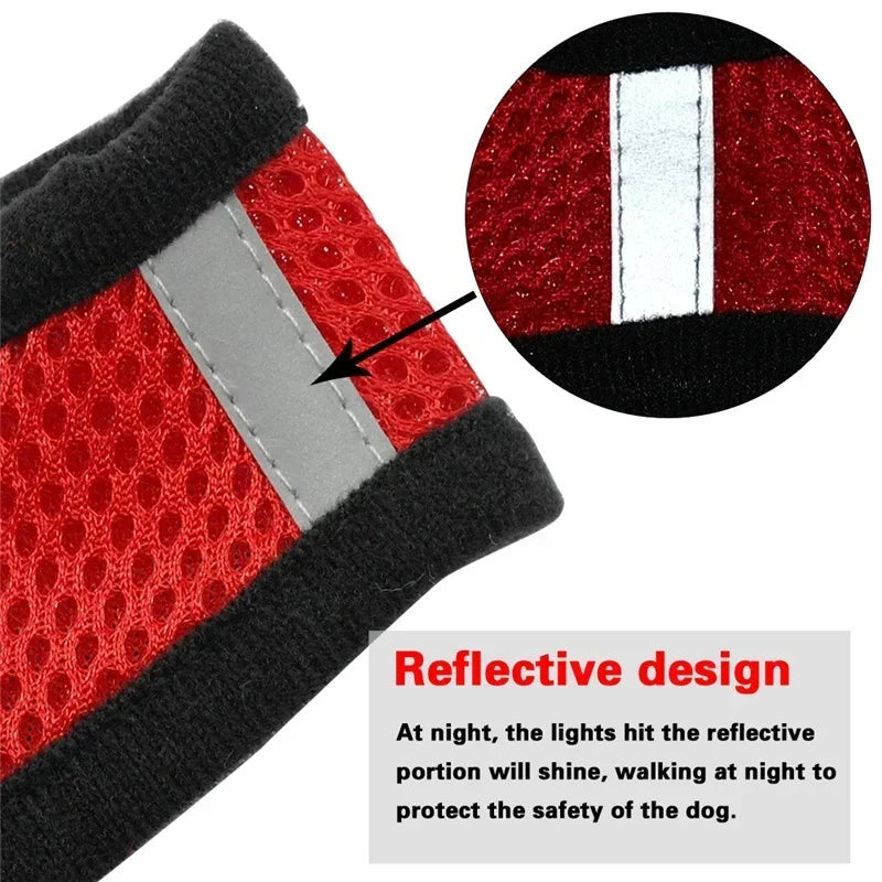 Cat Harness – Safe & Adjustable Walking Vest