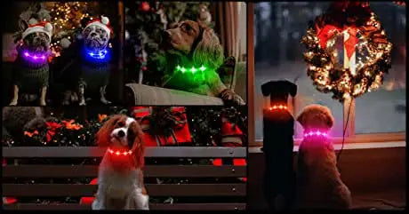 LED Light-Up Dog Collar - Keep Your Pet Safe & Visible at Night