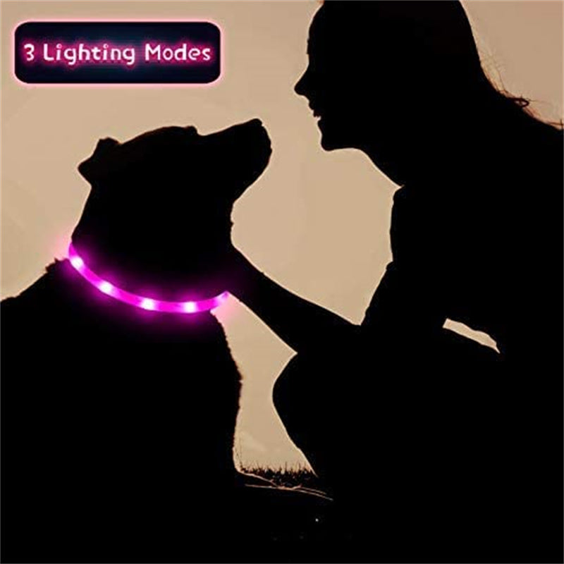 LED Light-Up Dog Collar - Keep Your Pet Safe & Visible at Night