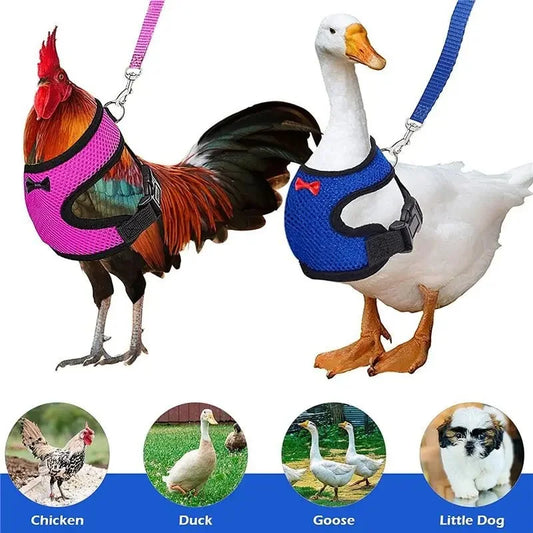 Pet Adjustable Harness & Leash – For Chickens, Ducks, Puppies & Small Pets