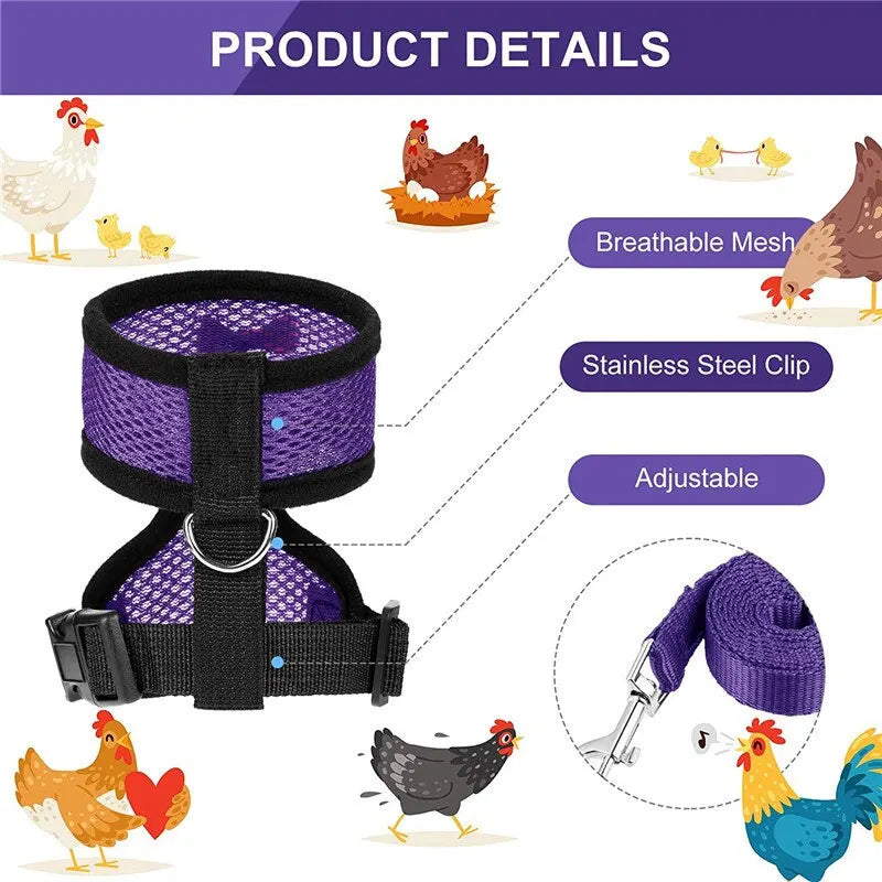 Pet Adjustable Harness & Leash – For Chickens, Ducks, Puppies & Small Pets