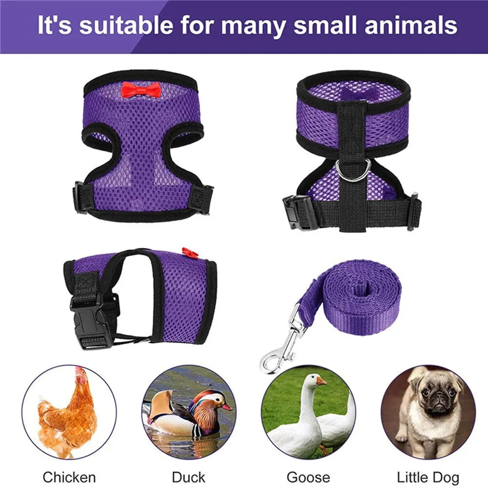 Pet Adjustable Harness & Leash – For Chickens, Ducks, Puppies & Small Pets