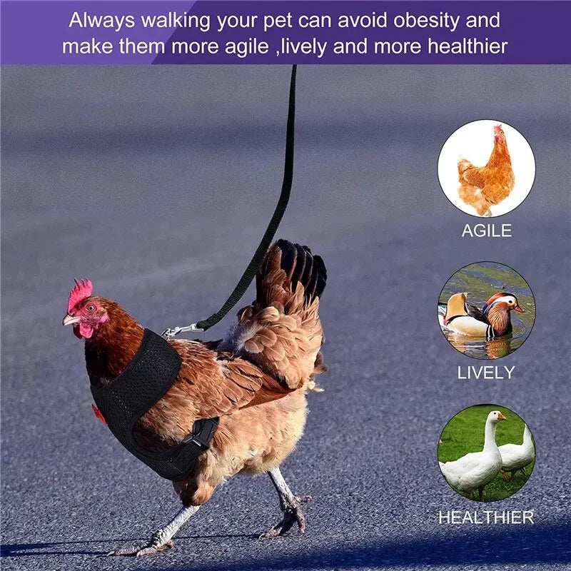 Pet Adjustable Harness & Leash – For Chickens, Ducks, Puppies & Small Pets
