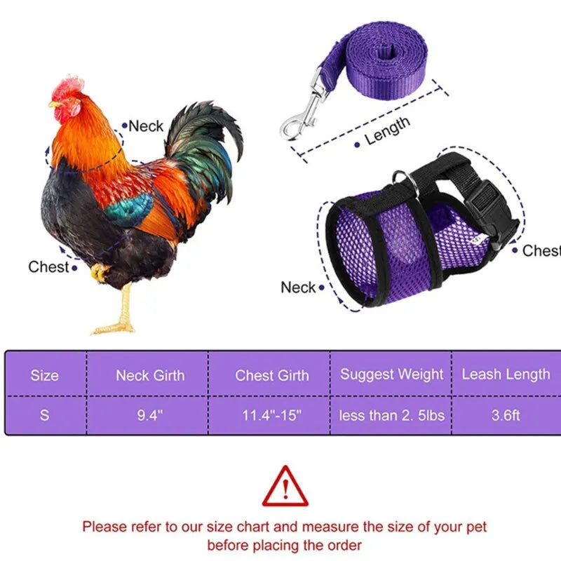 Pet Adjustable Harness & Leash – For Chickens, Ducks, Puppies & Small Pets