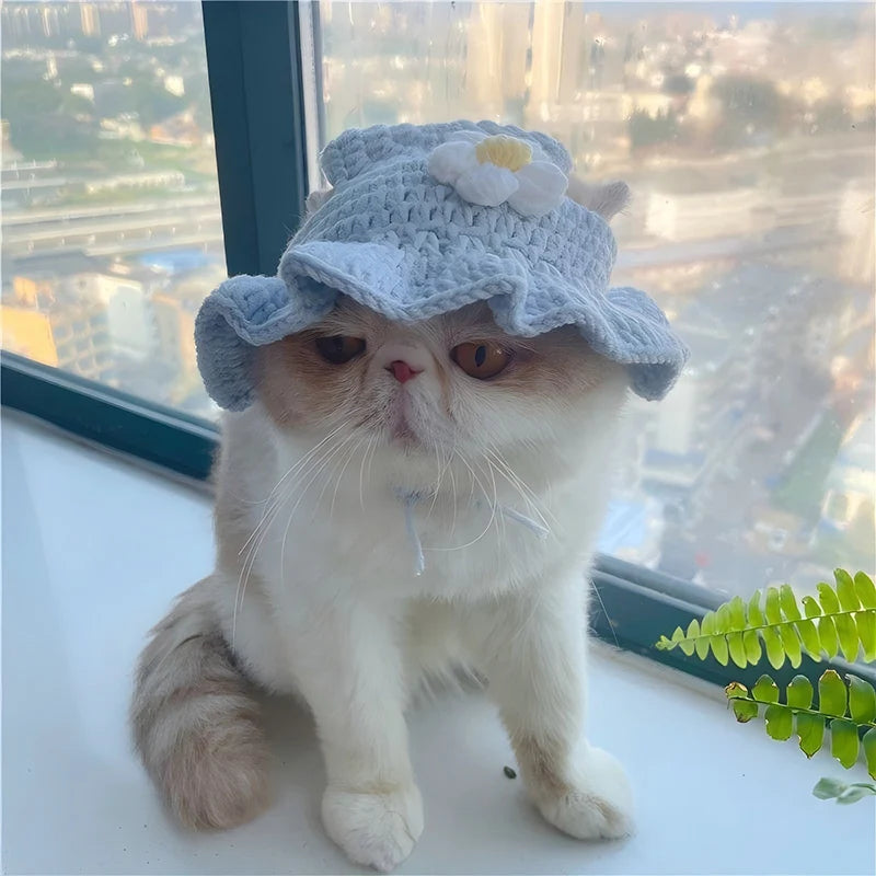 Pet Hat – Handmade Costume Accessory