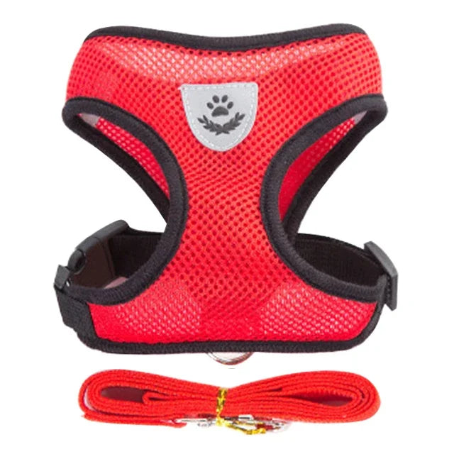 Cat Harness – Safe & Adjustable Walking Vest