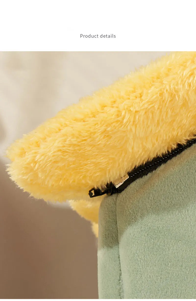 Foldable Dog House Bed