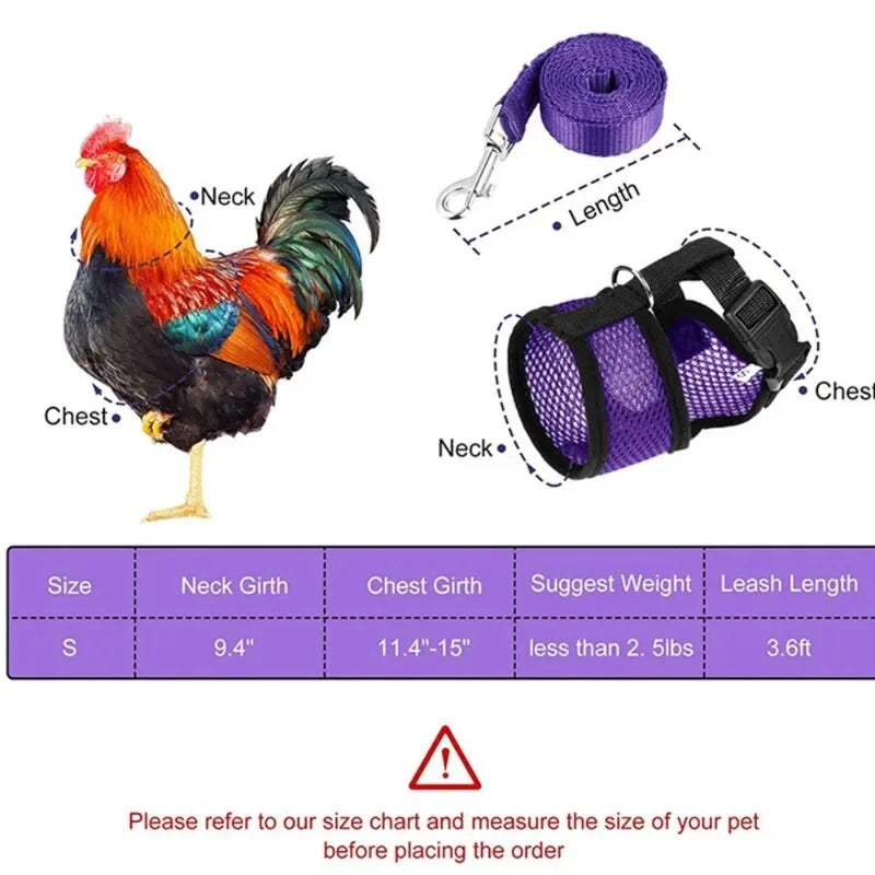 Pet Adjustable Harness & Leash – For Chickens, Ducks, Puppies & Small Pets