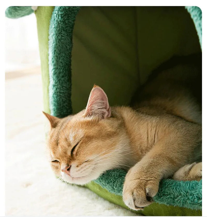Foldable Dog House Bed