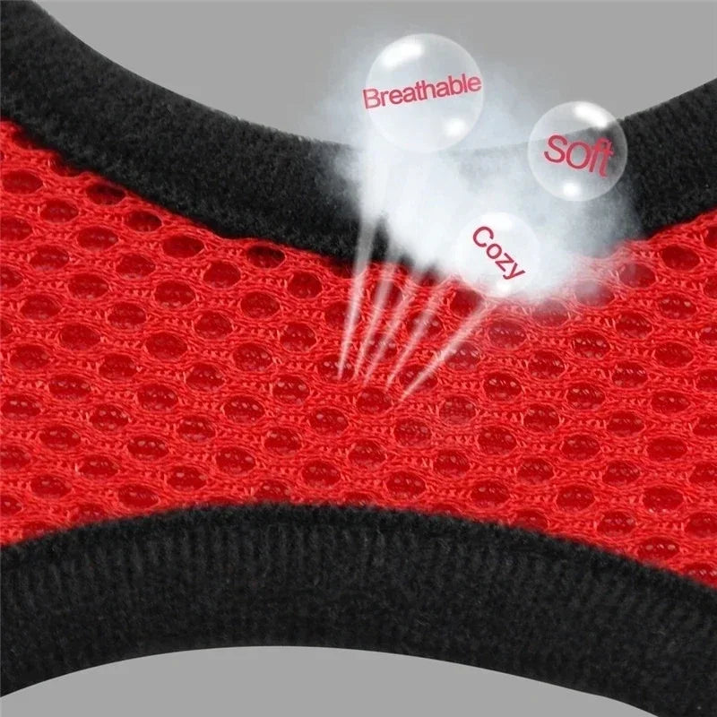 Cat Harness – Safe & Adjustable Walking Vest