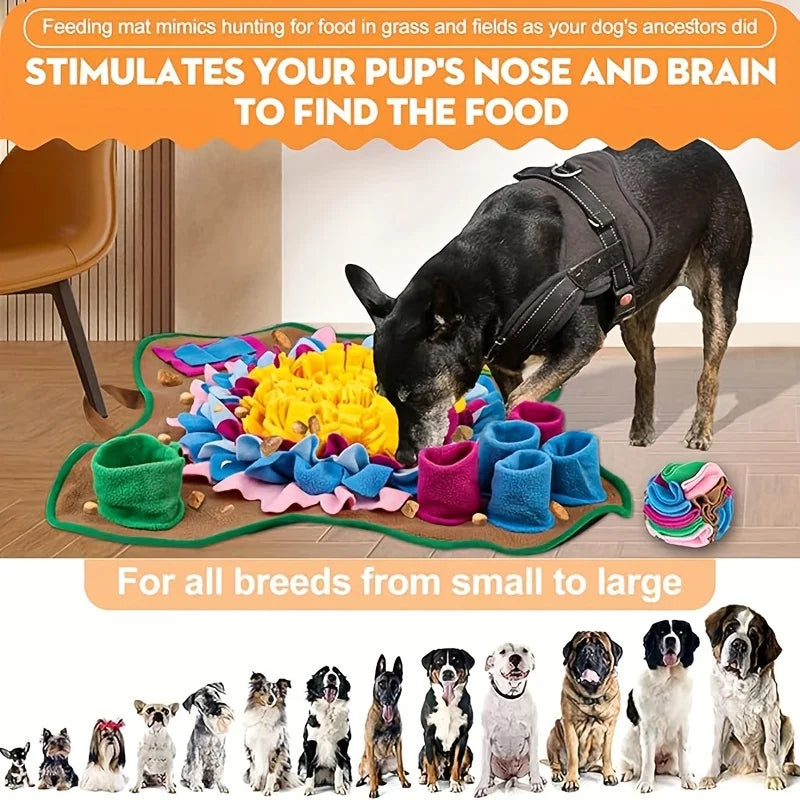 Pet Sniffing & Training Mat