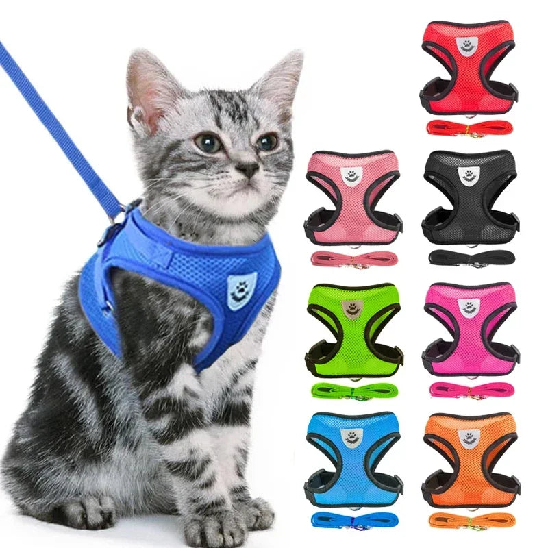 Cat Harness – Safe & Adjustable Walking Vest