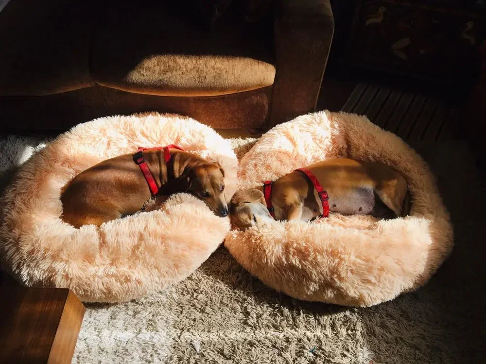 Classic Calming Donut Bed