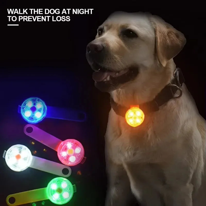 LED Safety Light for Collar