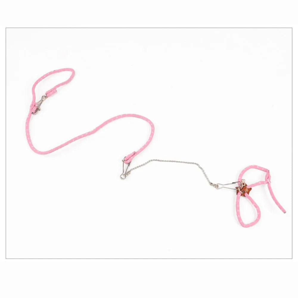 Small Animal Leash & Harness – Adjustable for Guinea Pigs, Hamsters & Ferrets