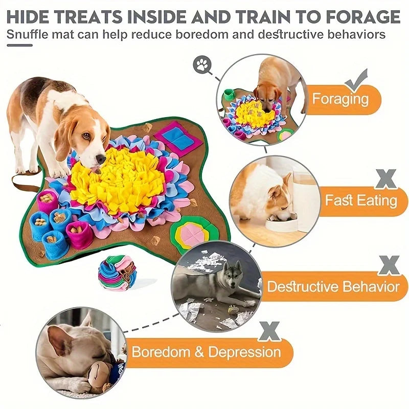 Pet Sniffing & Training Mat